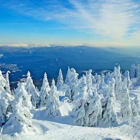 Nr 15, Typ A, Jaegerpark, Bayerischer Wald * Viechtach