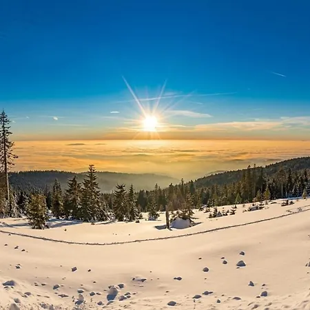 Nr 15, Typ A, Jaegerpark, Bayerischer Wald Semesterbostad Viechtach