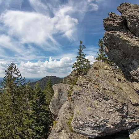 Nr 15, Typ A, Jaegerpark, Bayerischer Wald Semesterbostad