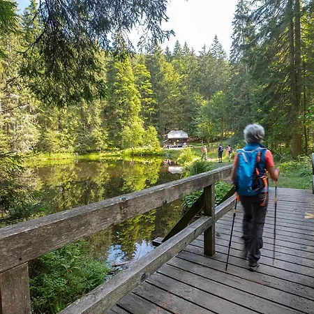 Nr 15, Typ A, Jaegerpark, Bayerischer Wald *