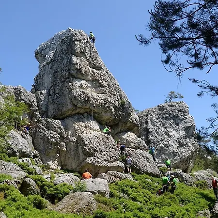 Nr 15, Typ A, Jaegerpark, Bayerischer Wald