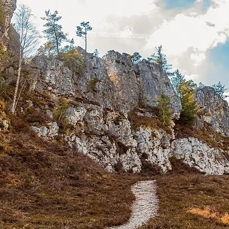 Nr 15, Typ A, Jaegerpark, Bayerischer Wald