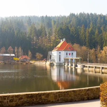 Nr 15, Typ A, Jaegerpark, Bayerischer Wald Dom wakacyjny *